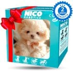 🐶 My Realistic Robot Puppy🐕🦺