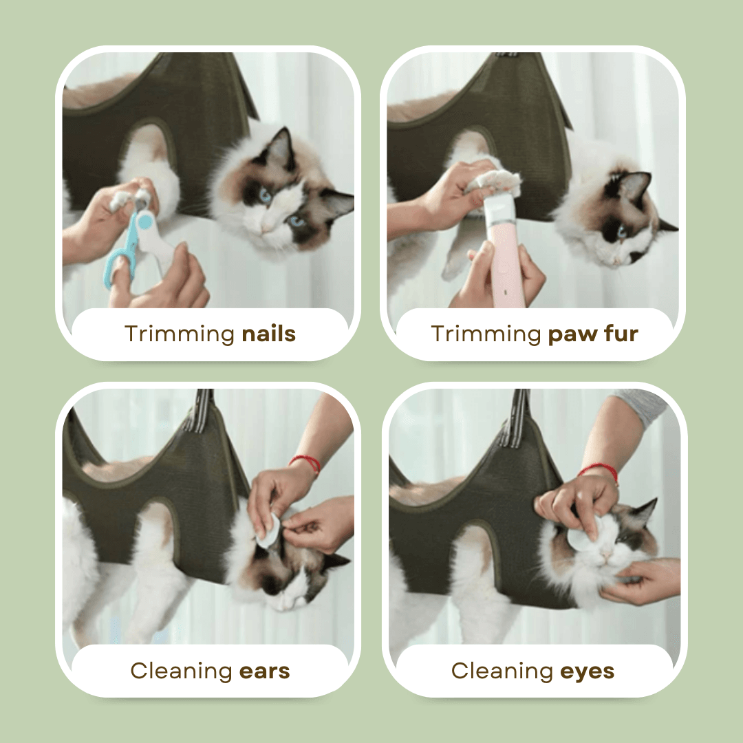 Multipurpose_a4a0c522-bf84-445e-9735-d294fd6421dc.png