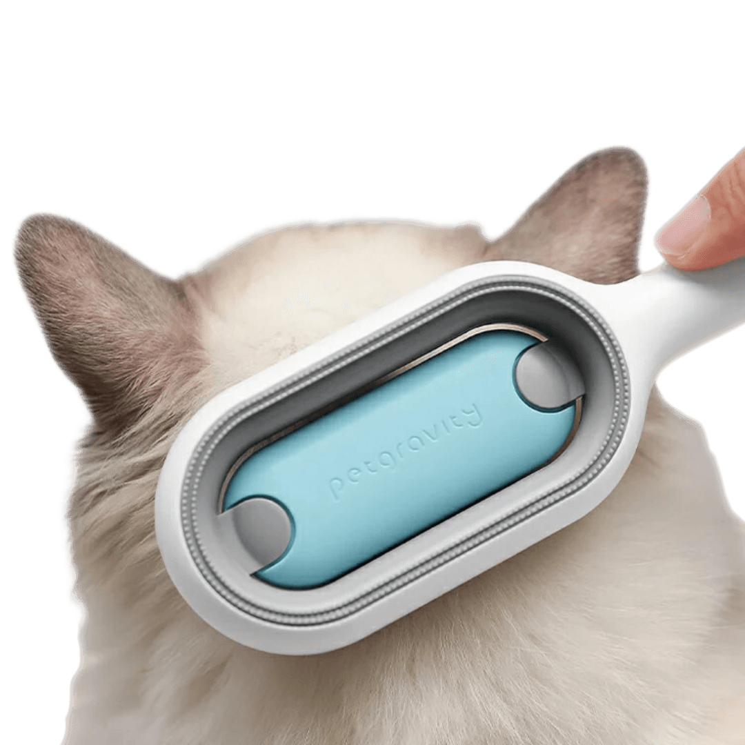 Sticky Brush