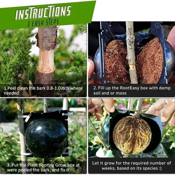 Early Christmas Sale 50% OFF - RootEasy Plant Rooting Box Seeding Case