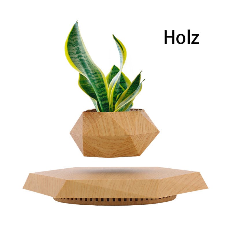 The latest black technology:Magnetic levitation planter (without plants)