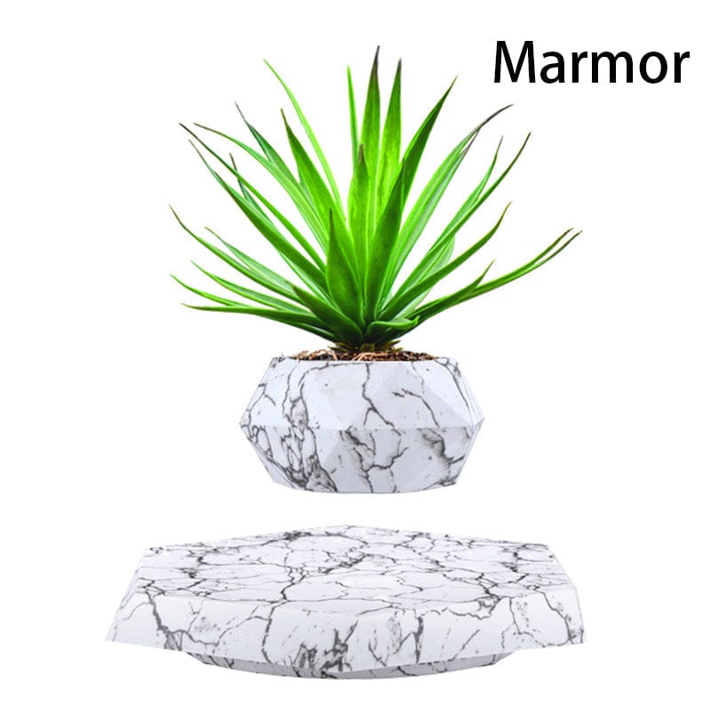 The latest black technology:Magnetic levitation planter (without plants)